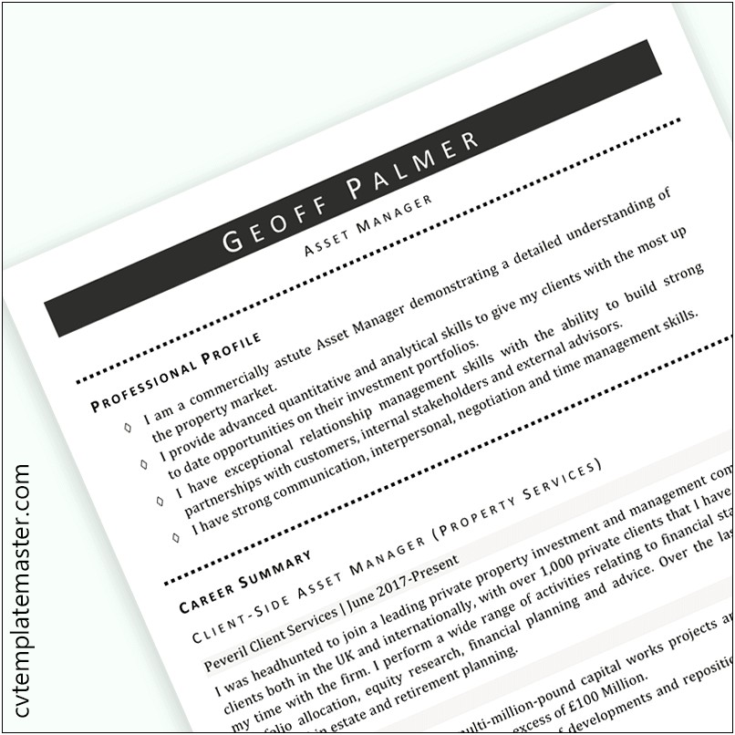 Asset Manager Woman Resume Pdf Portugal