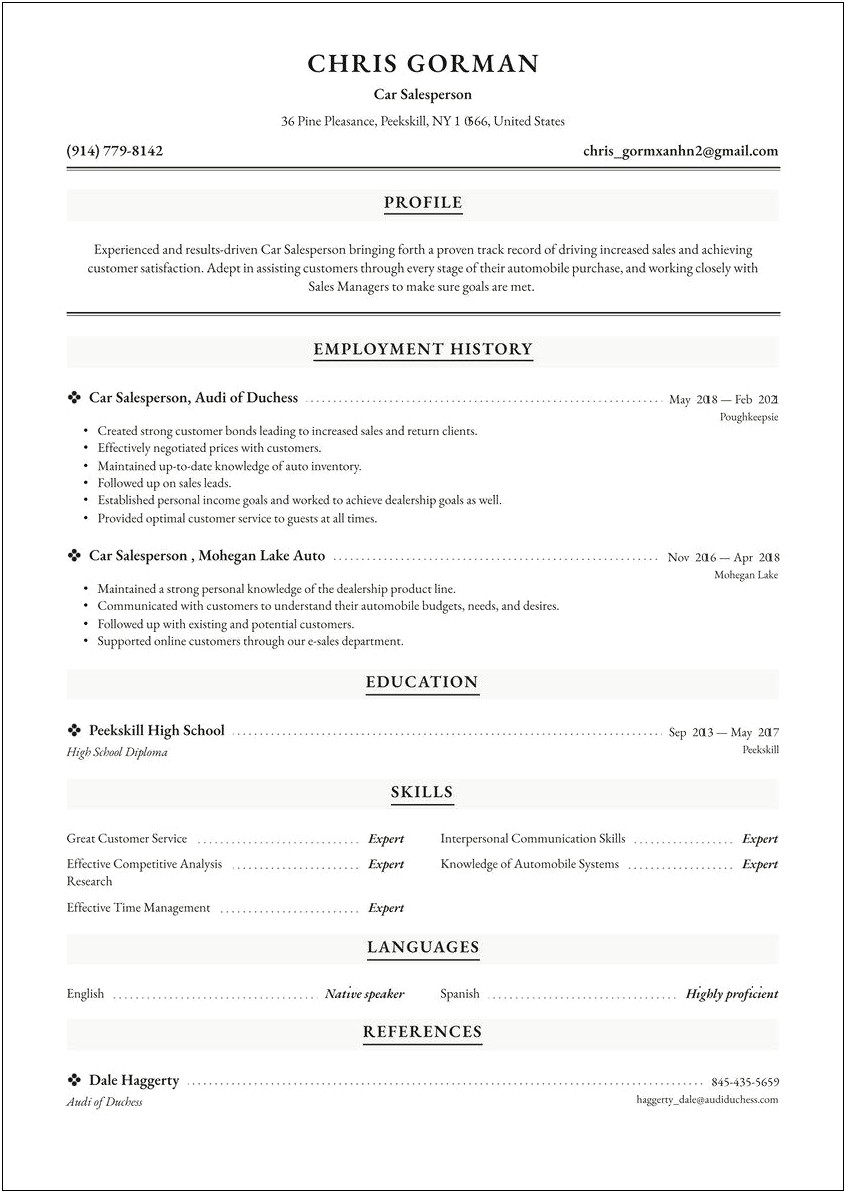 Automotive Sales And Marketing Director Resume Template