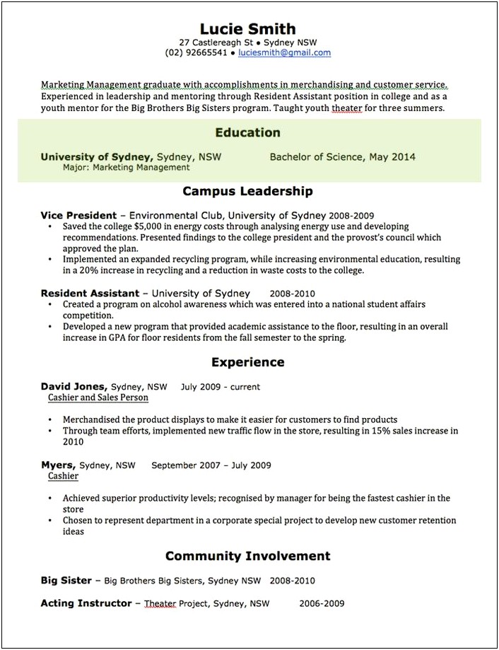 Basic Resume Examples Copy And Paste