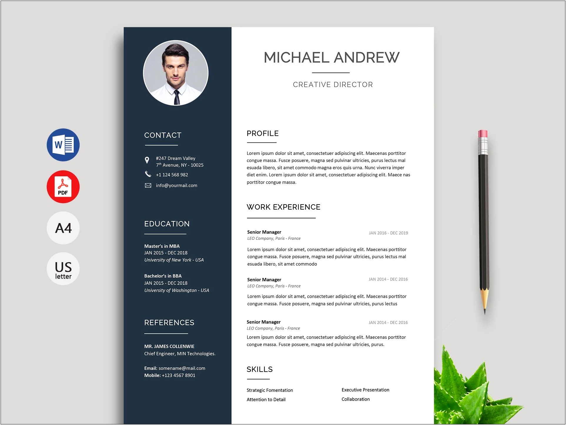 Best Creative Resume Templates Free Download