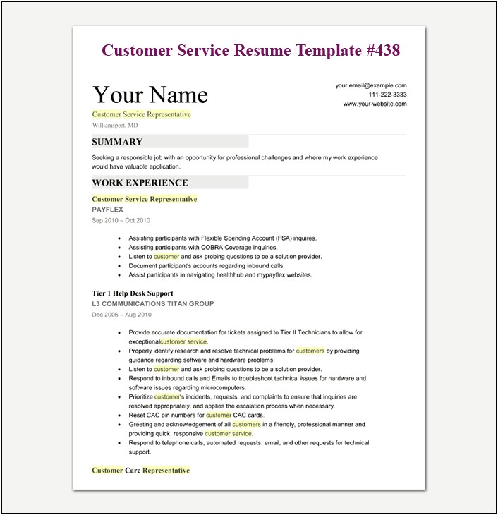 Best Customer Service Resume Summary Samples