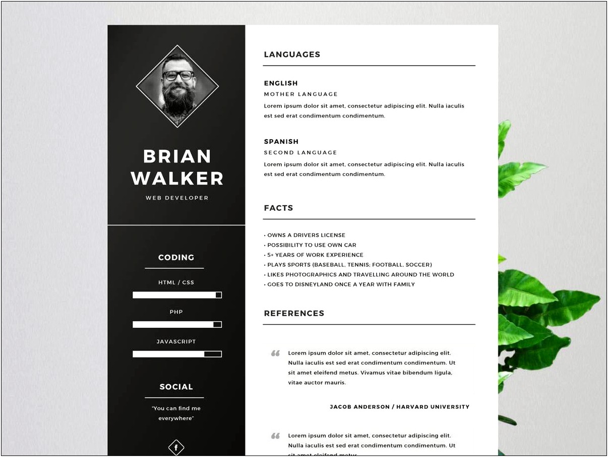 Best Free Resume Templates For Microsoft Word