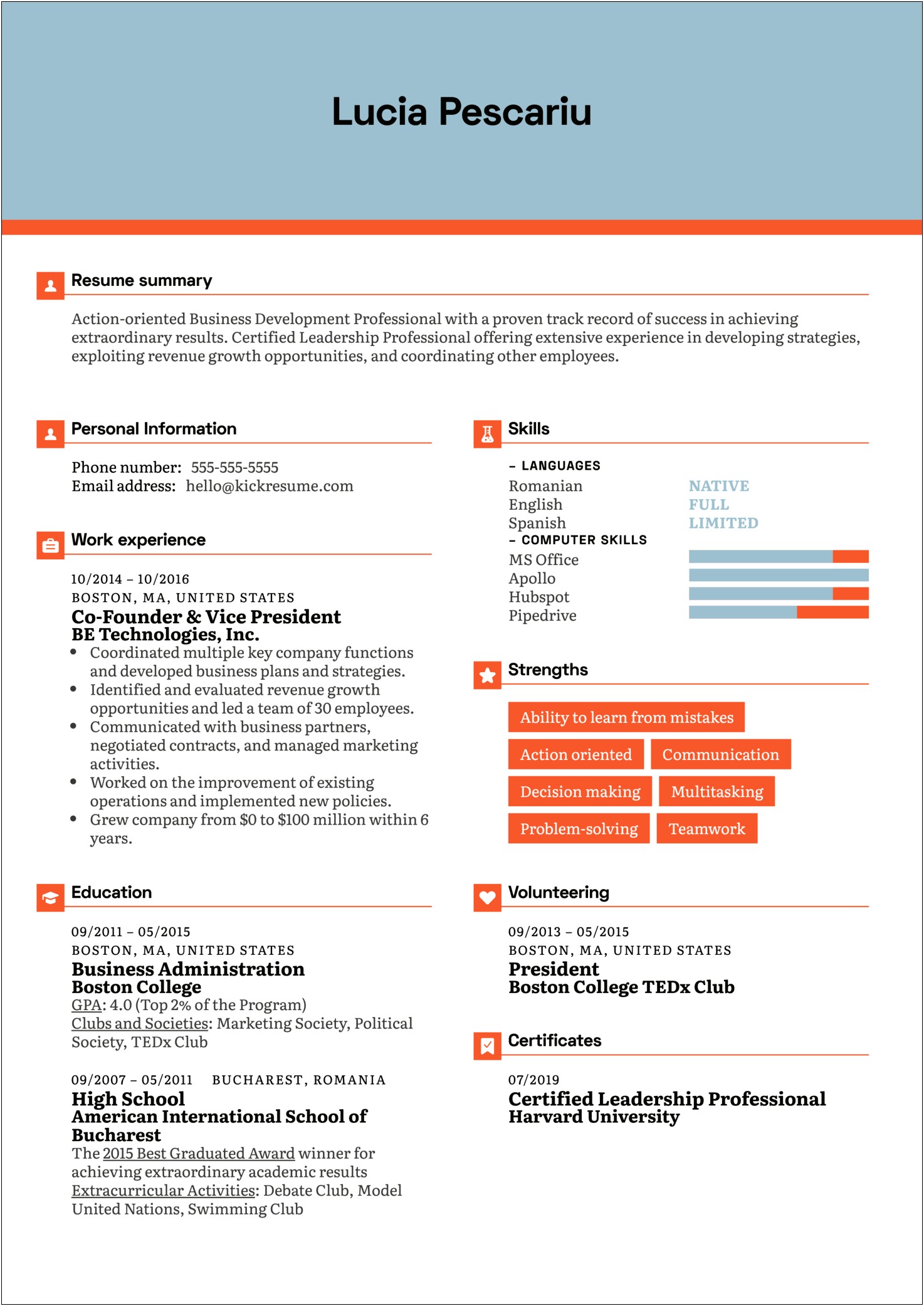 Best Resume Examples Vice President Of Marketing
