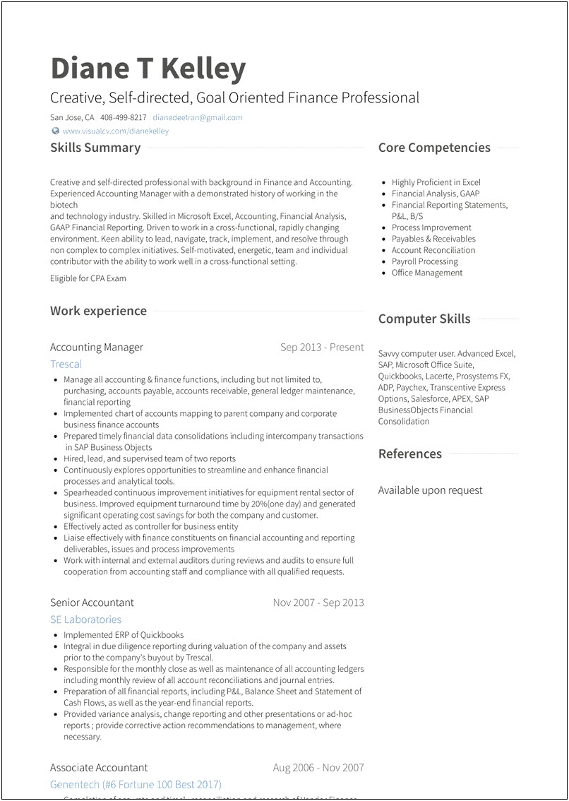 Best Resume Format For Accountant Doc