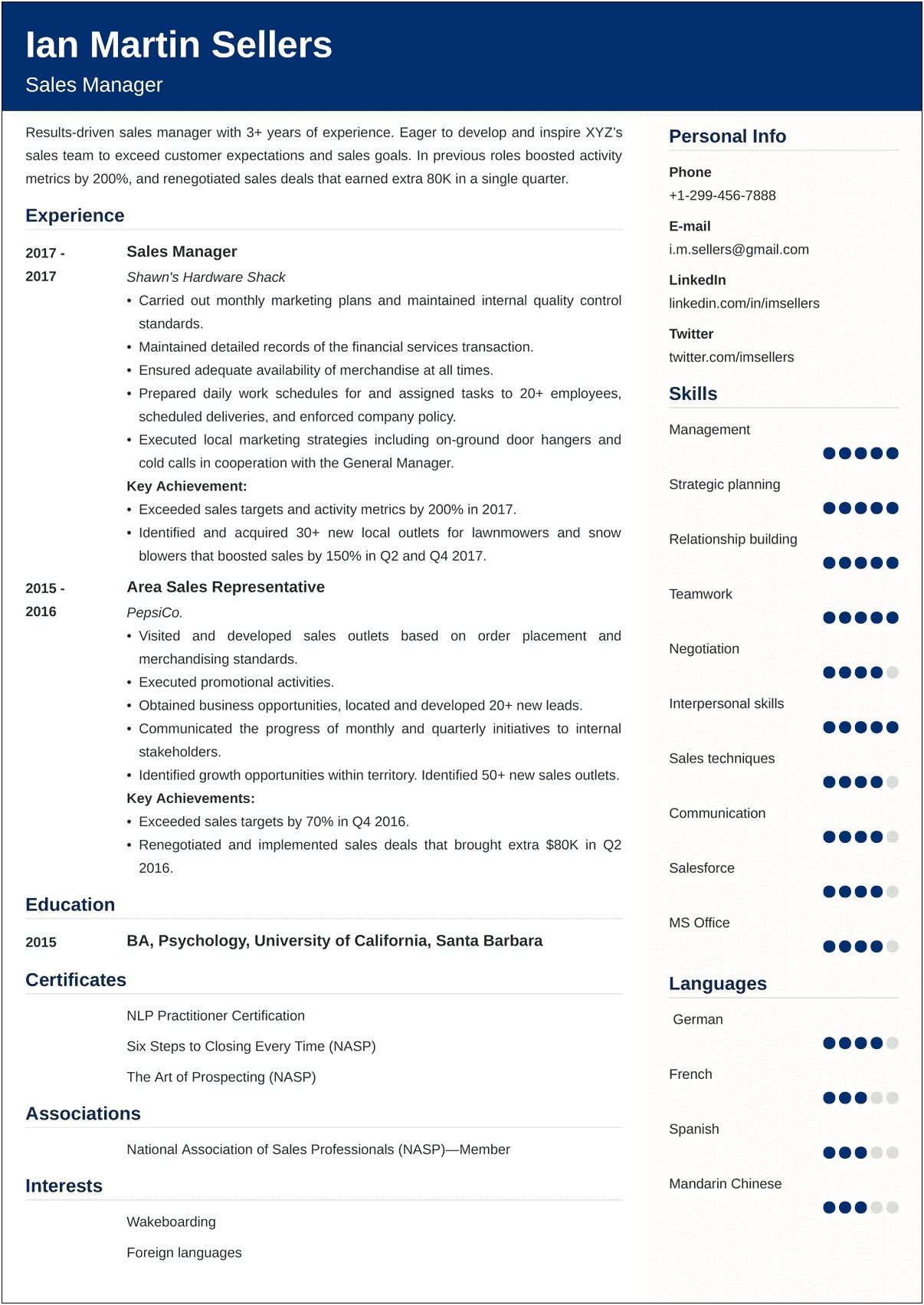 Best Resume Format For Sales Manager