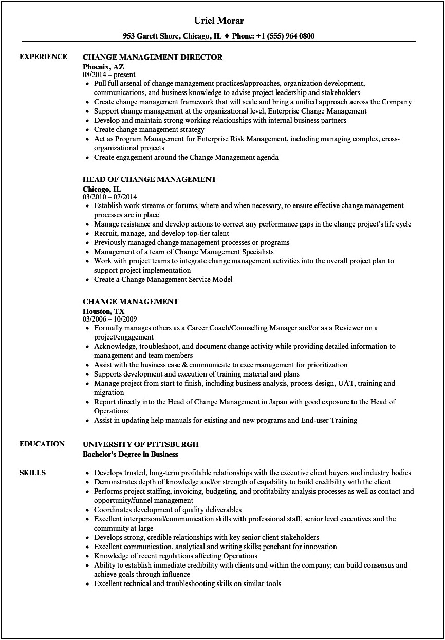 Best Resume Title For Change Management Manager
