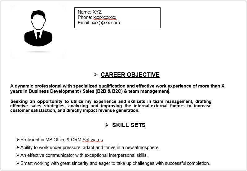 Best Sales Manager Resume In India