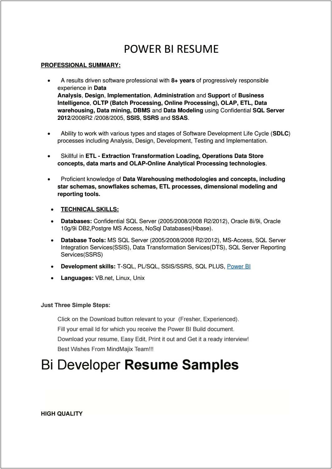Bi And Data Warehouse Summary For Resume