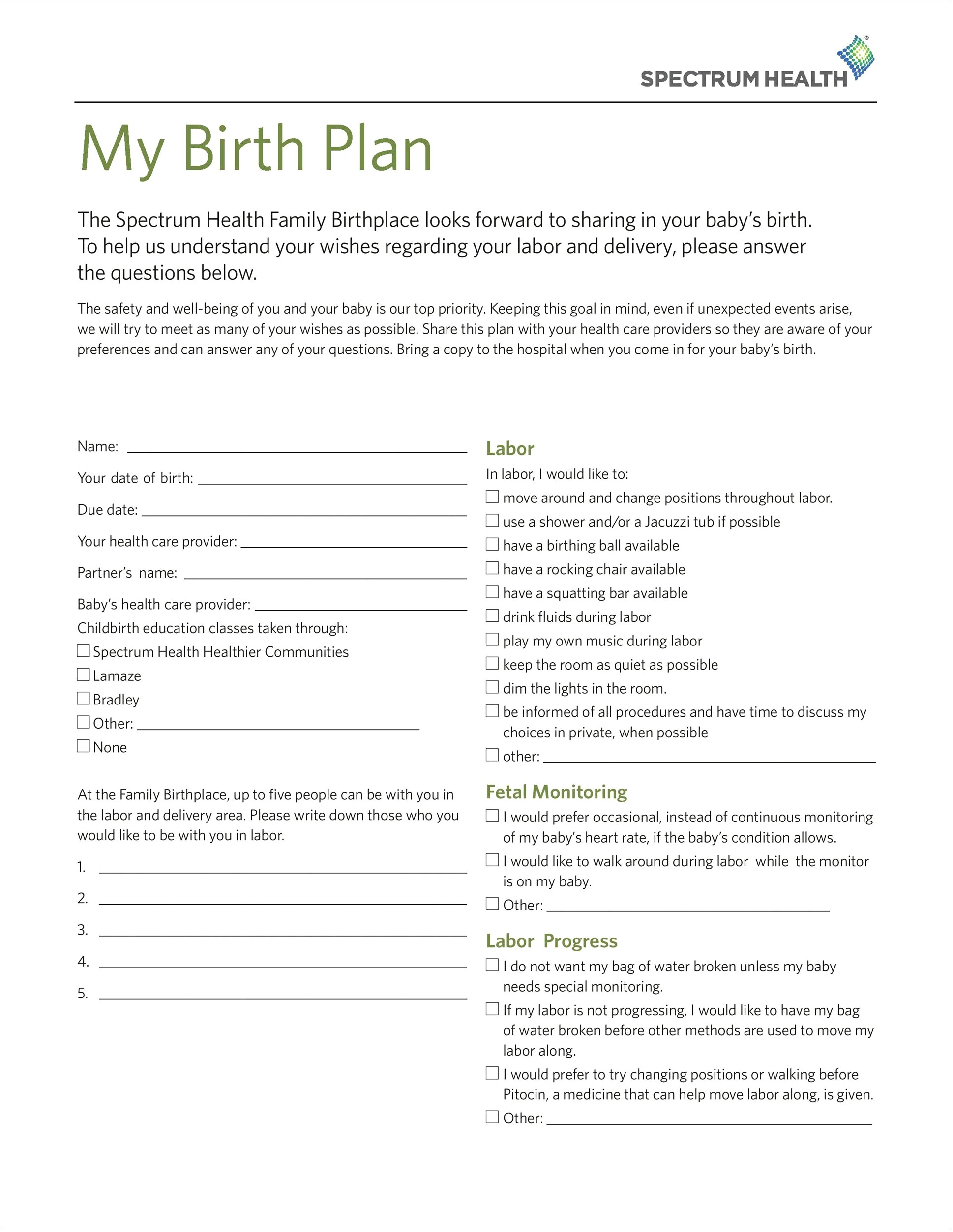 Birth Plan Template Download Word Document
