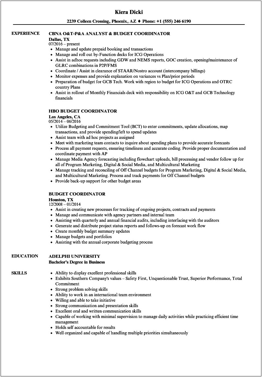 Budgeting And Expense Management Experience For Job Resume