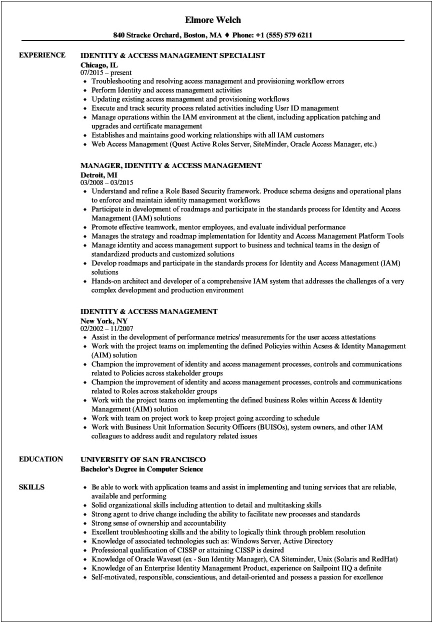 Business Analyst Access Management Sample Resume