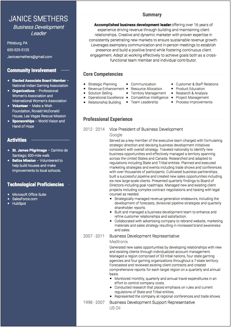 Business Development Manager Brief Resumen Description