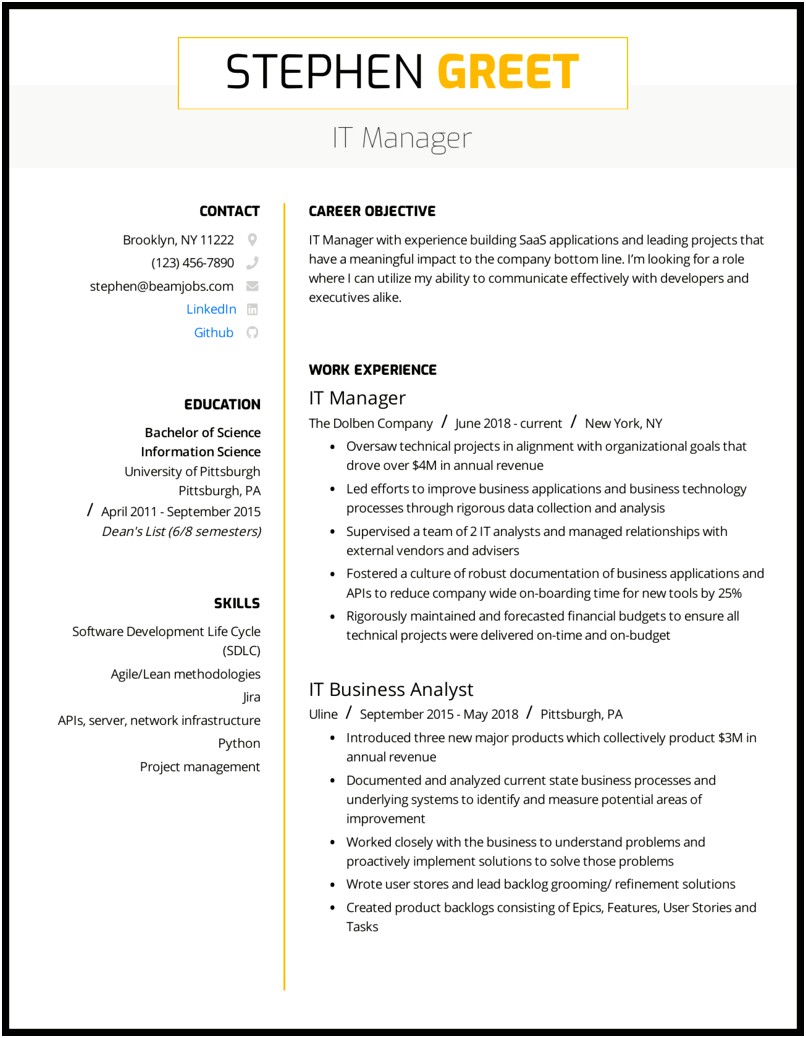 Business Management It Resume Objective Examples