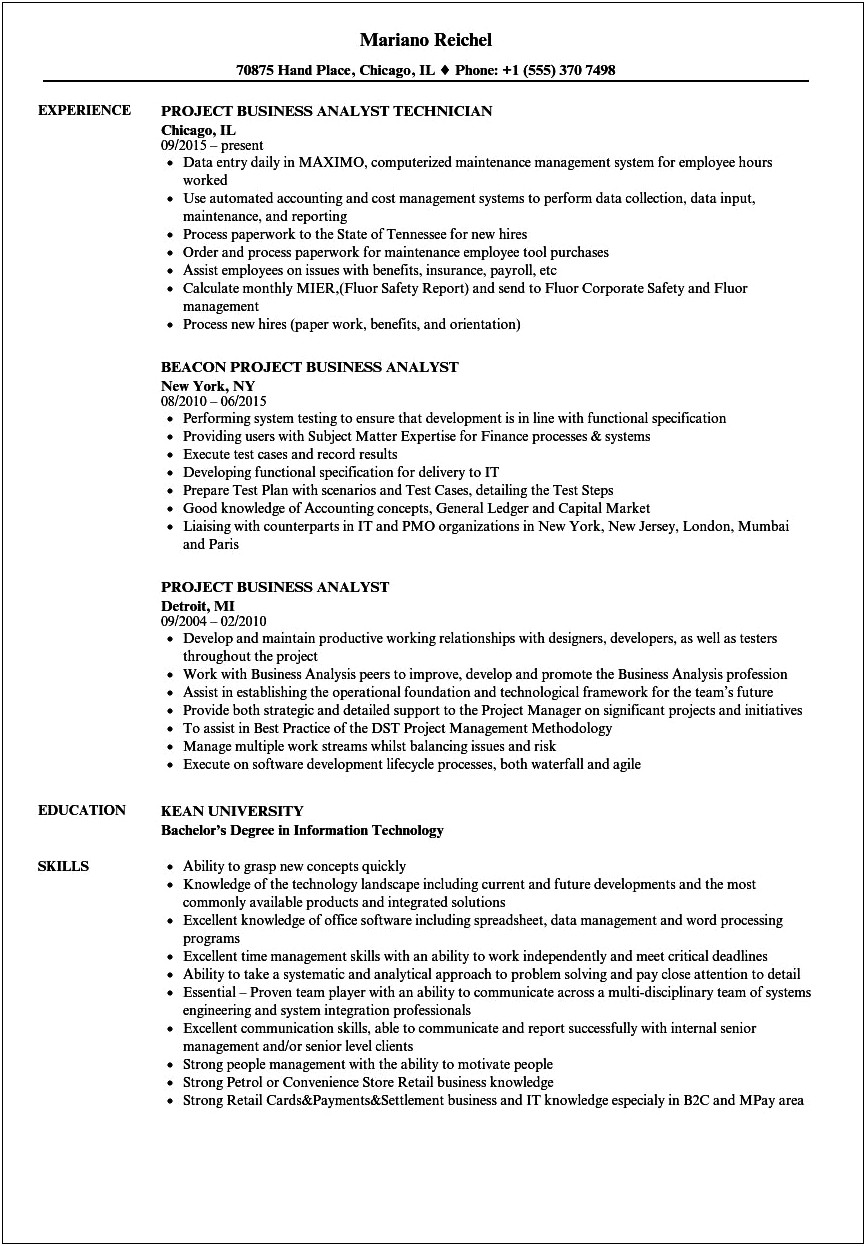 Business Project Description For Resume Example