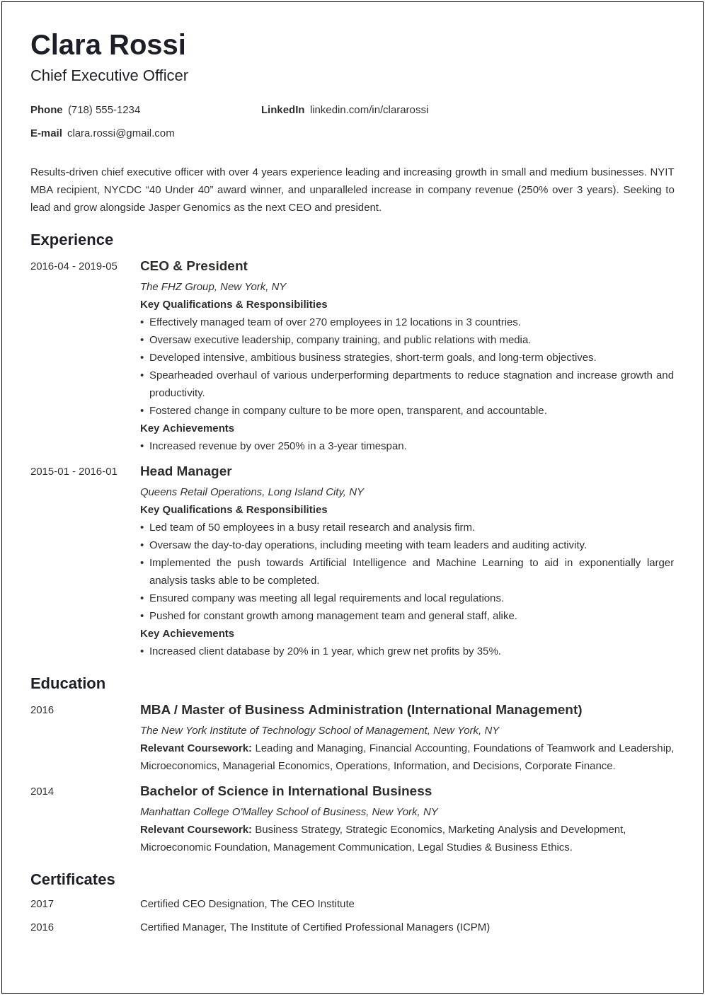 Ceo Executive One Page Resume Template