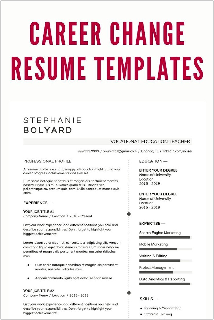 Change In Career Resume Profile Sample