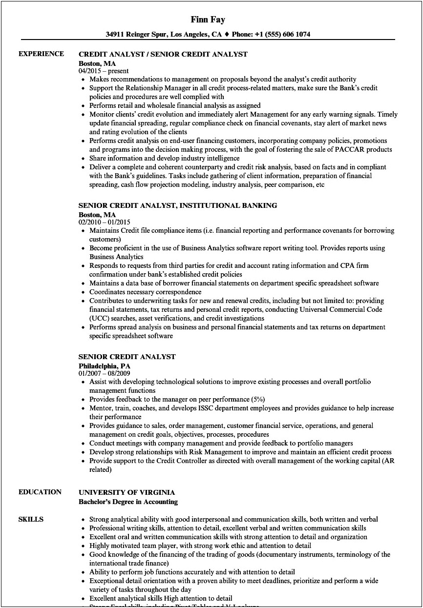Credit Analyst Professional Summary For Resume