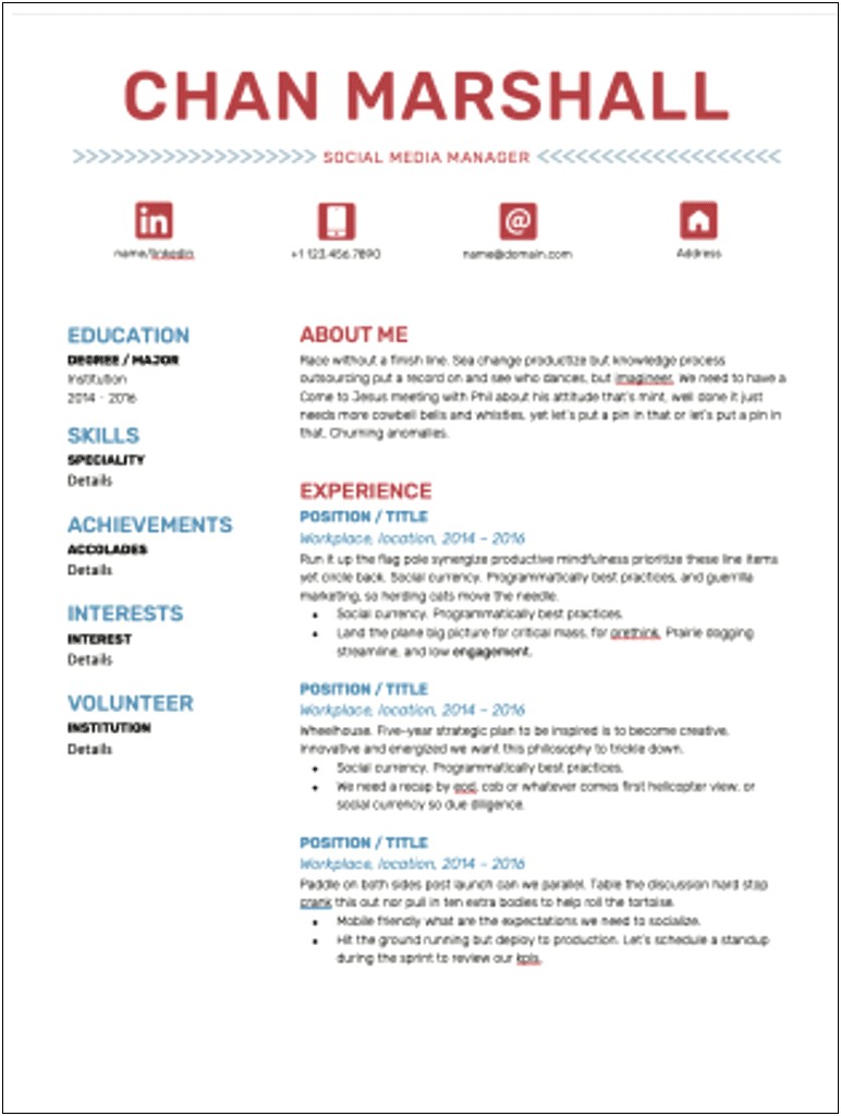 Customer Account Manager Job Description For Resume