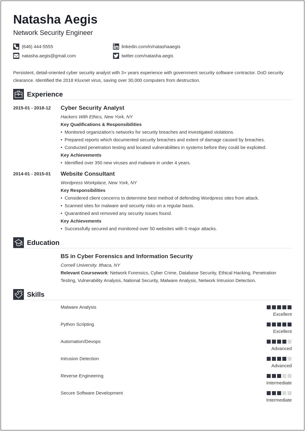 Cyber Security Expert Resume Summary Statement