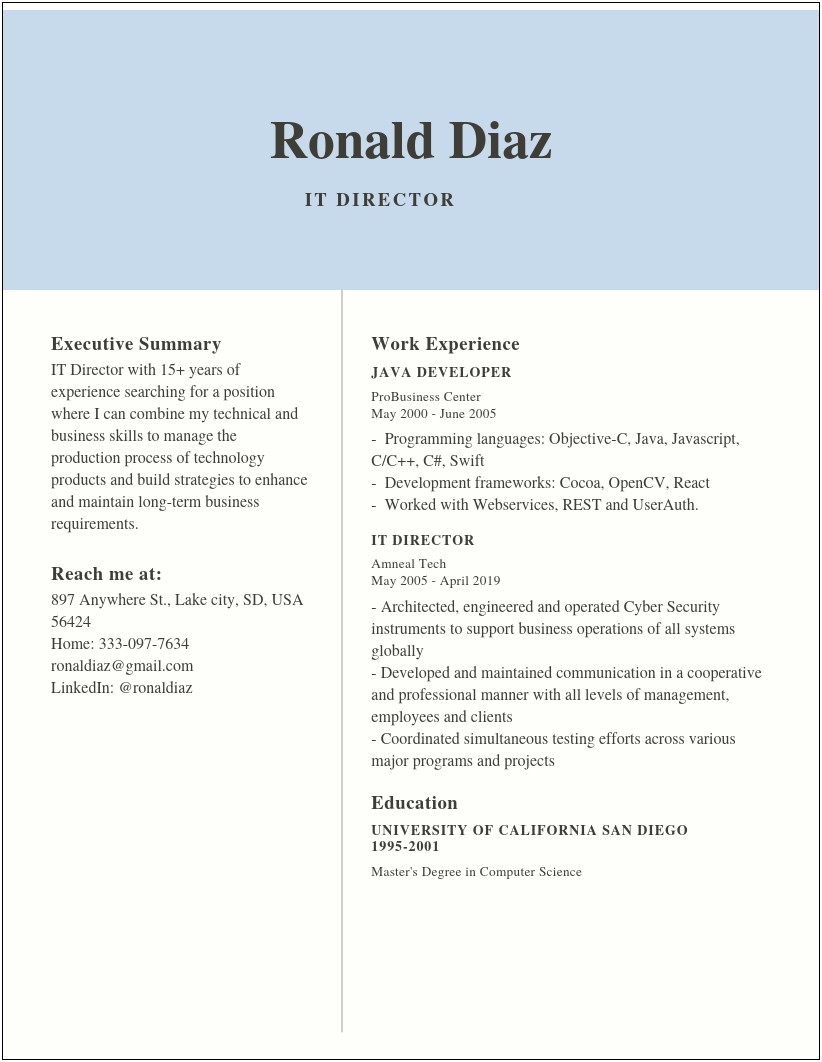 Cyber Security Resume Examples Word Doc