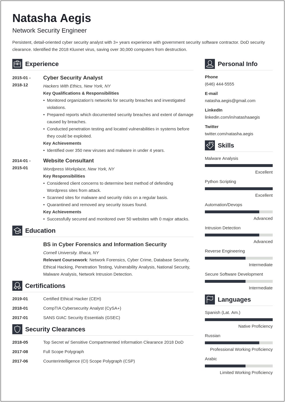 Cybersecurity Specialist Entry Level Resume Summary Examples