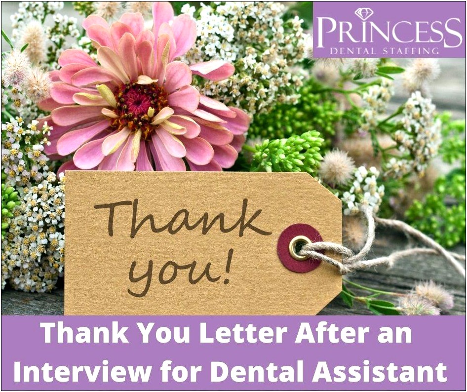 Dental Assistant Resume Thank You Letter