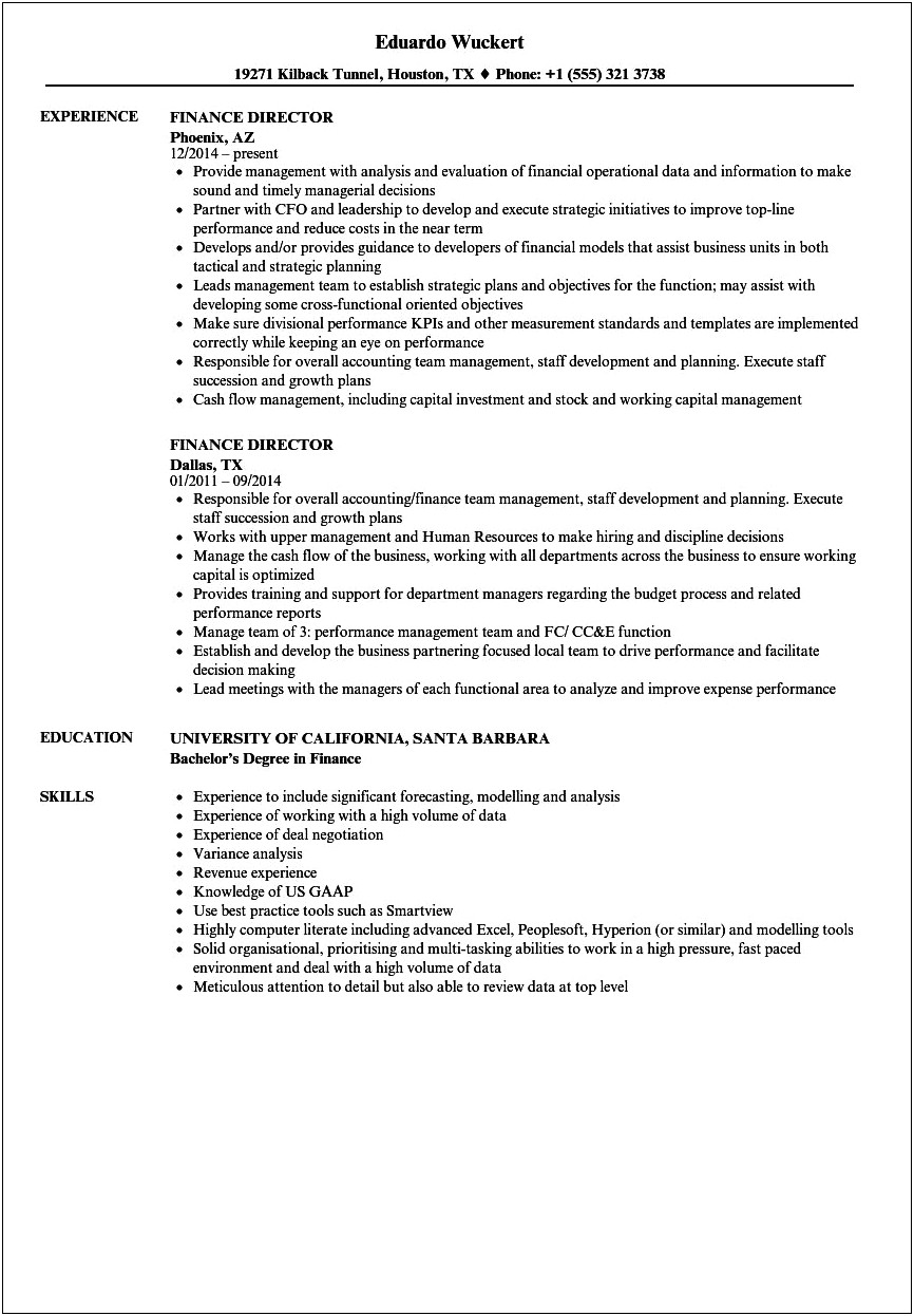 Director Of Finance Resume Samples With Achievements