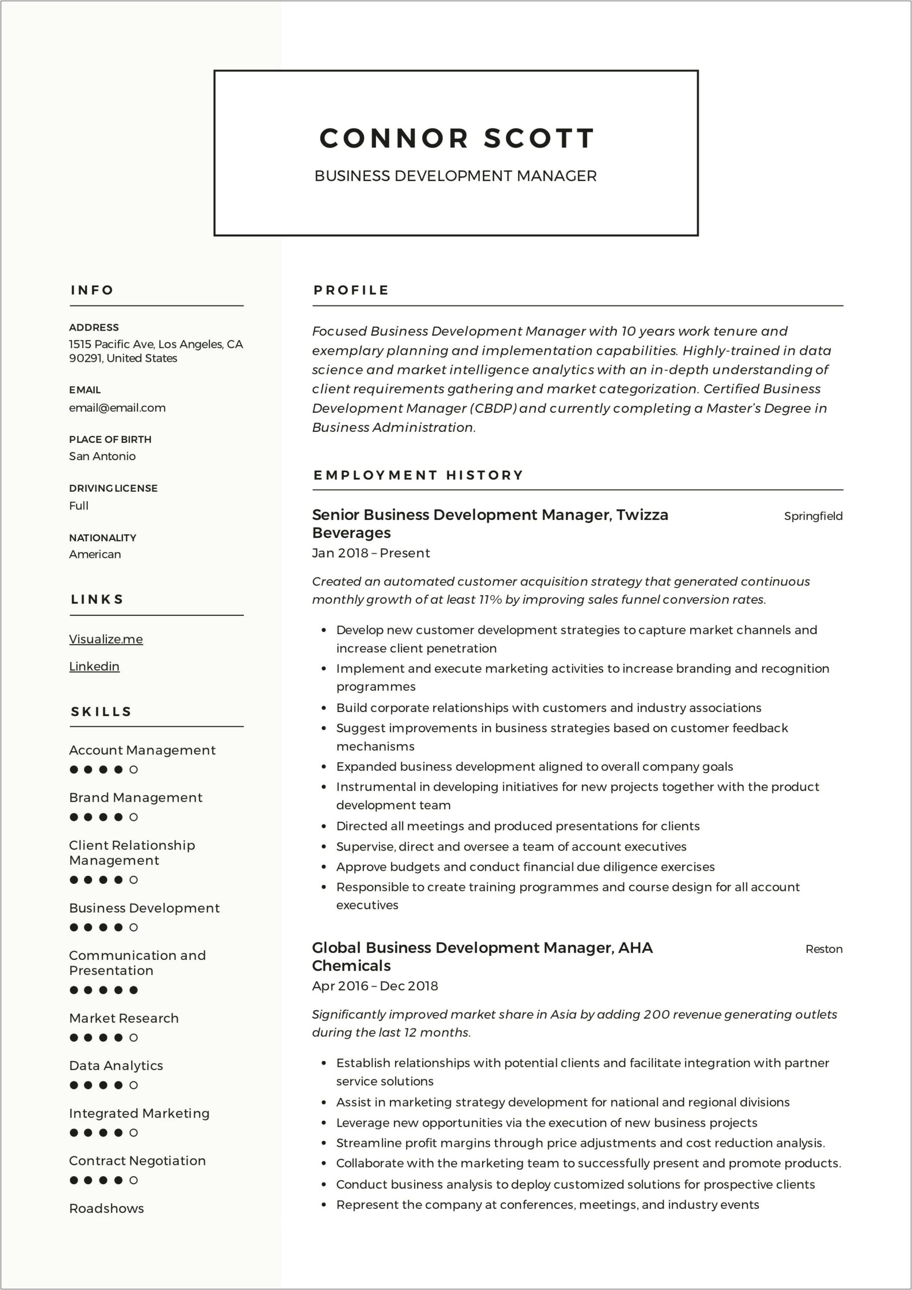 Director Of New Business Development Resume Examples