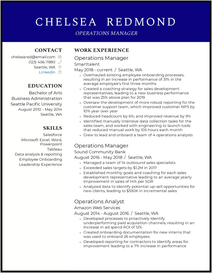 Director Of Operations Resume Summary Example