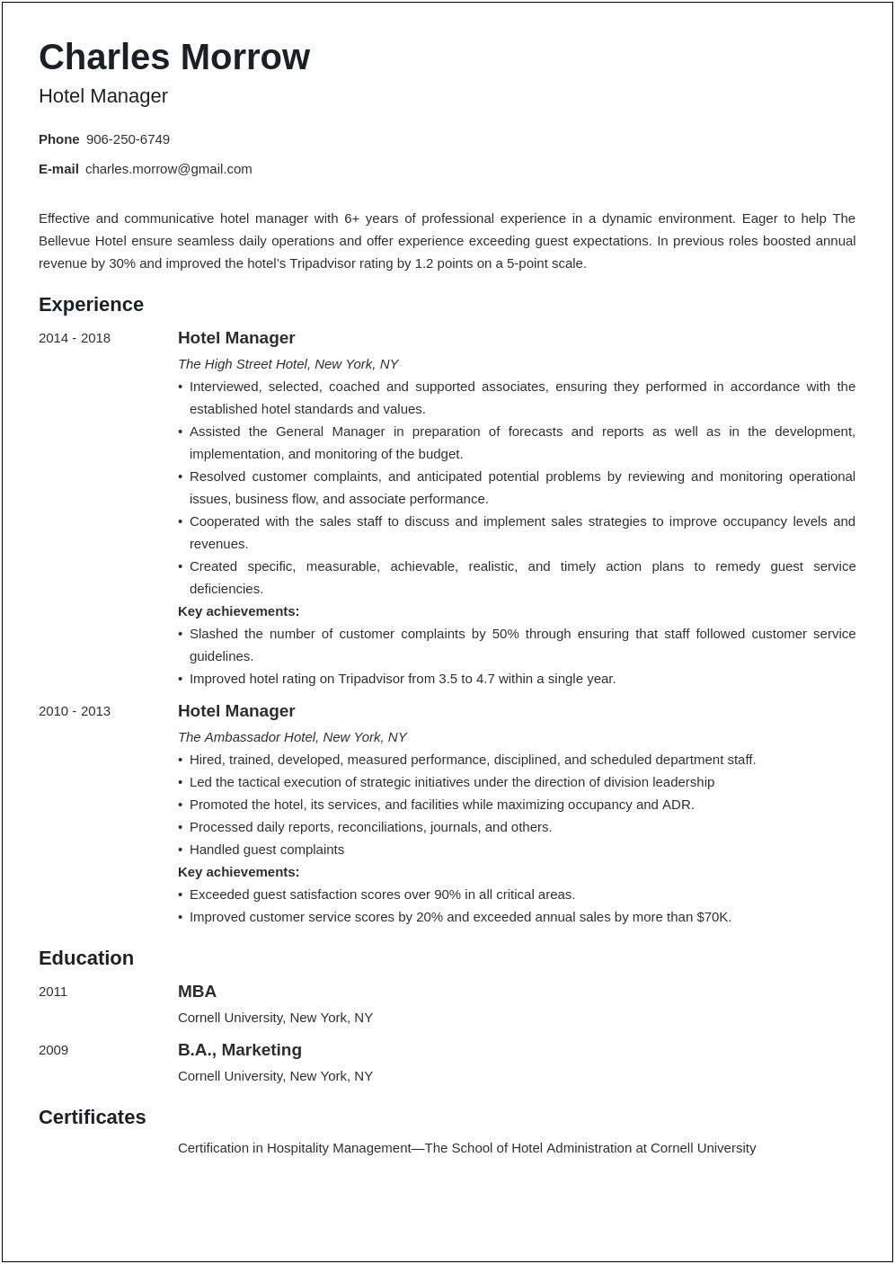 Director Of Sales Hotel Resume Example
