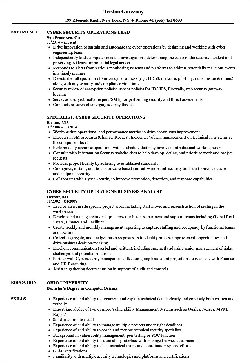 Director Of Security Operations Resume Sample