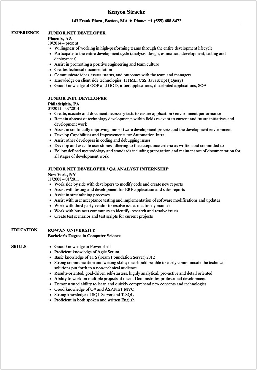 Dot Net 2 Years Experience Resume Format