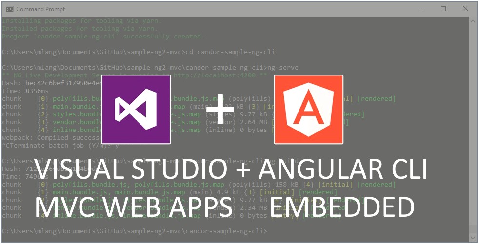 Download Angular Project Template For Visual Studio