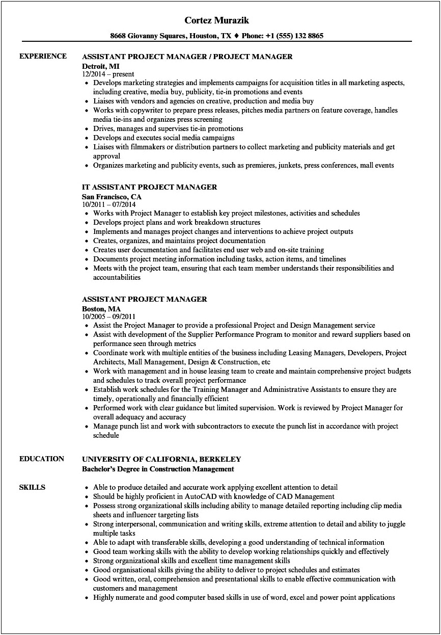 Electrical Project Manager Job Description Resume