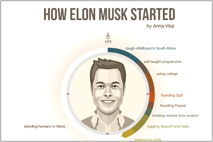 Elon Musk Resume Template Free Download