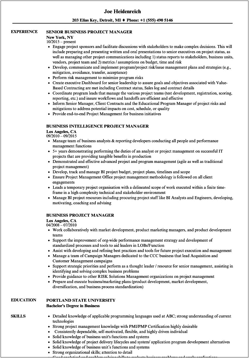 Enterprise It Project Manager Sample Resume