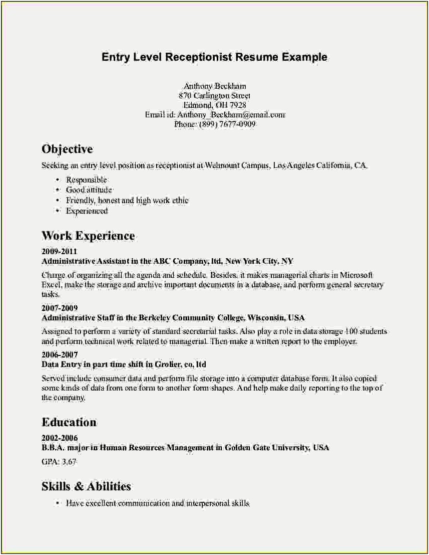 Entry Level It Resume Objective Examples