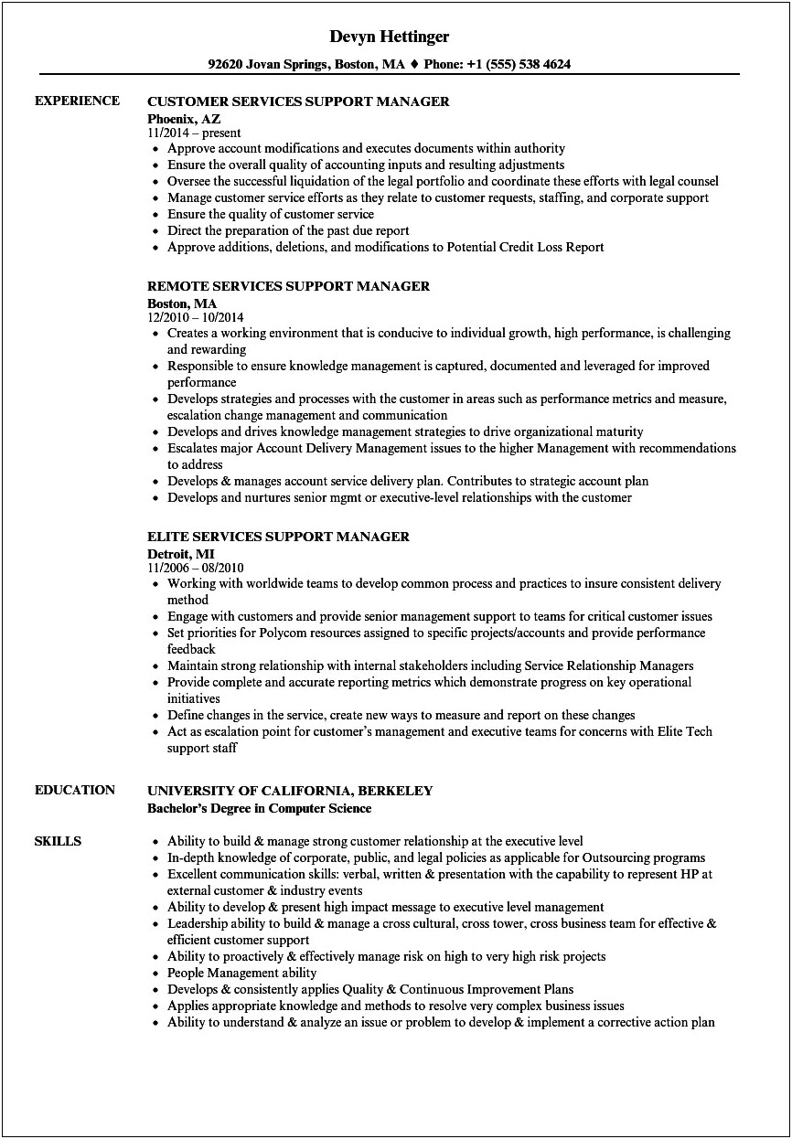 Entry Level It Support Manager Resume Examples