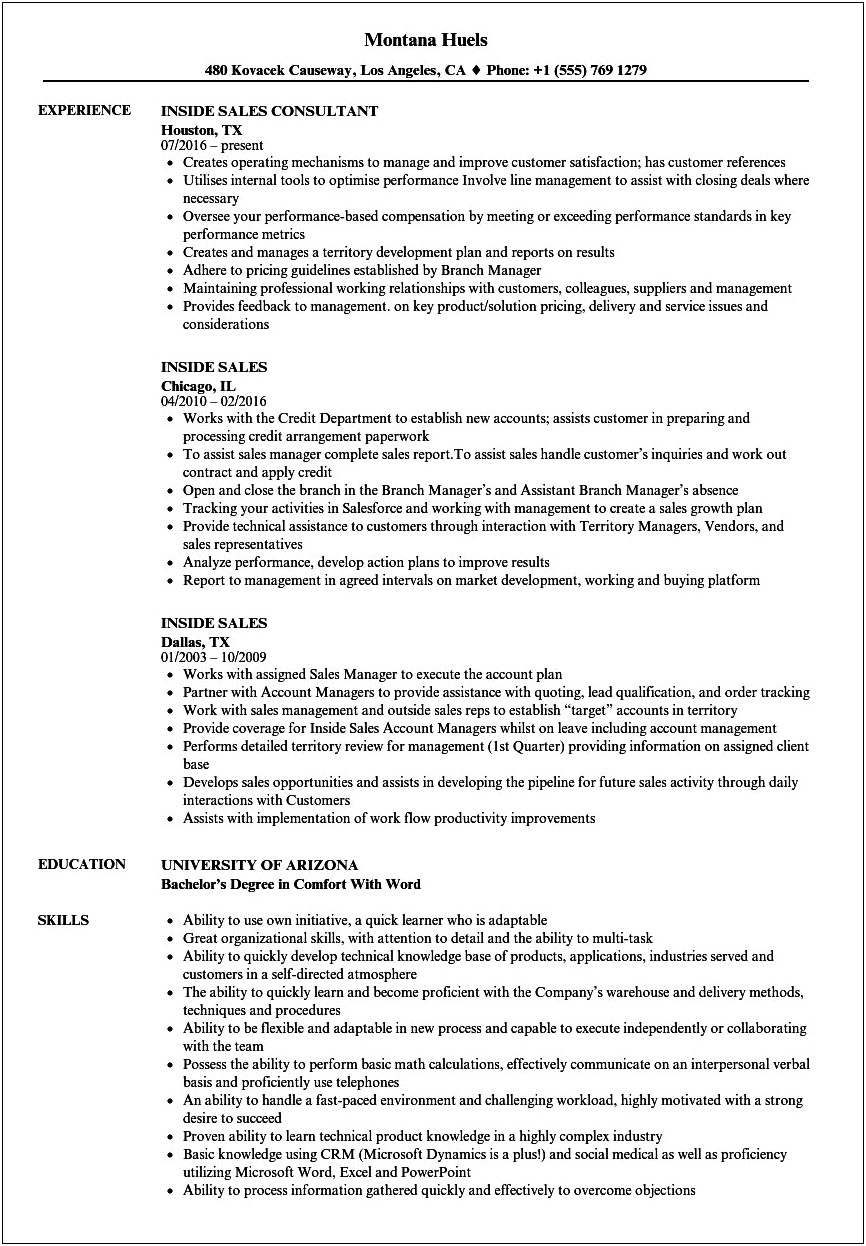 Example Achiever Sales Summary For Resume
