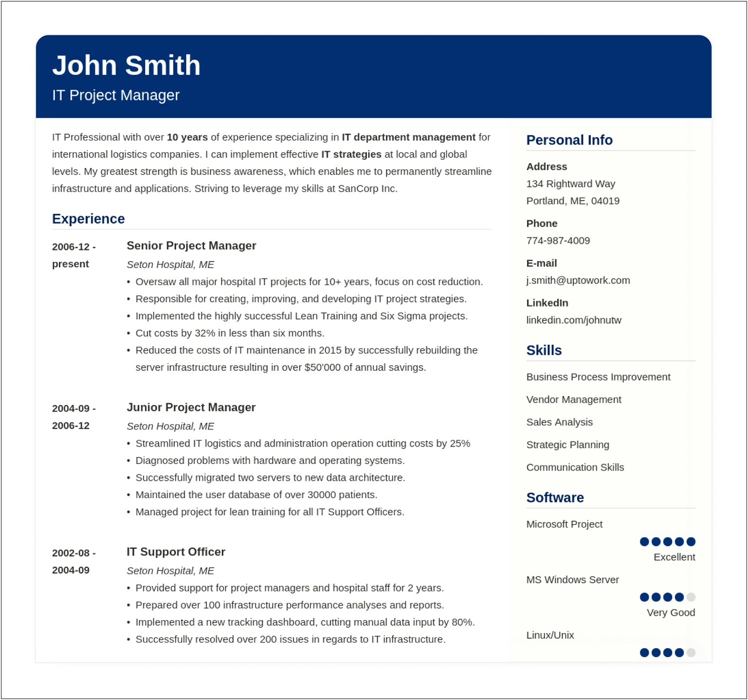Example Of A Job Application Resume