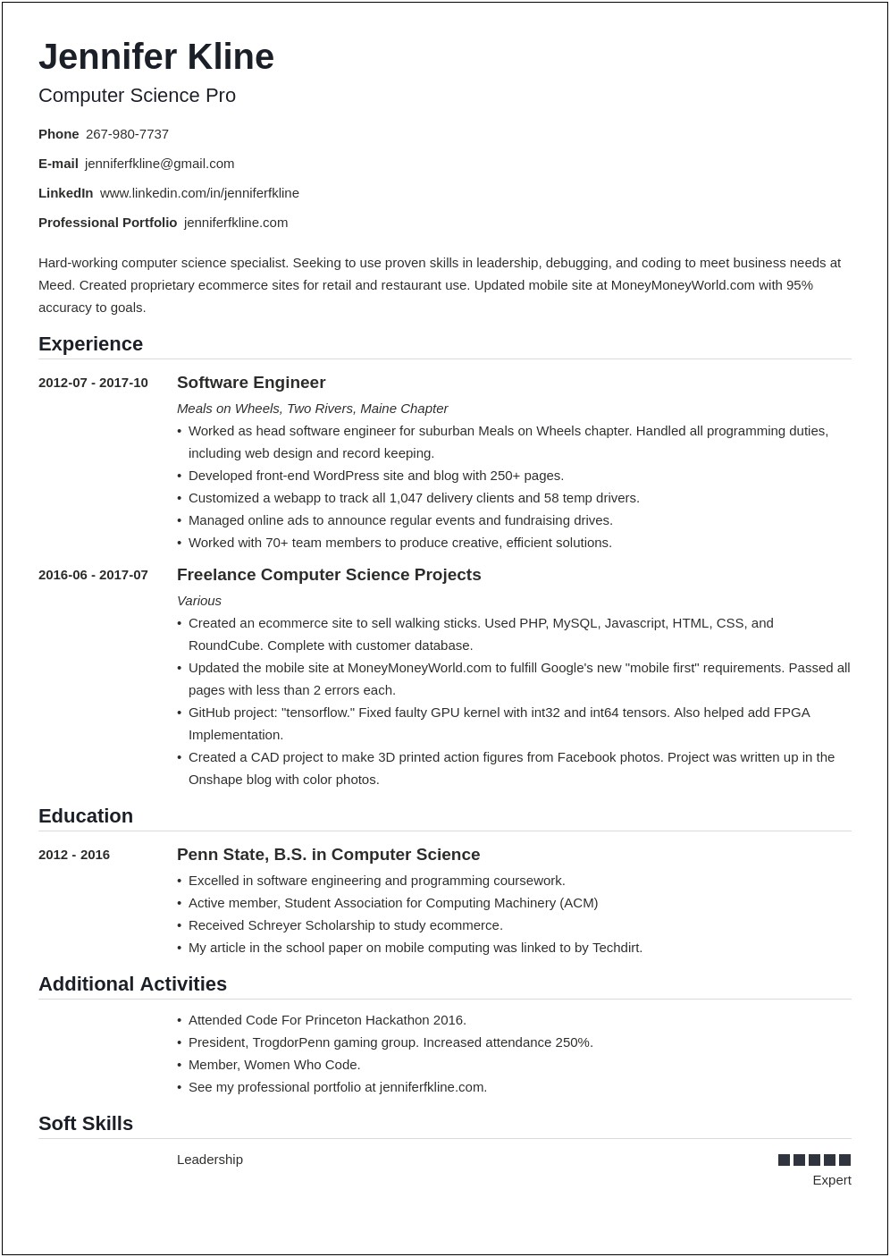 Example Of A Volunteer Resume Example