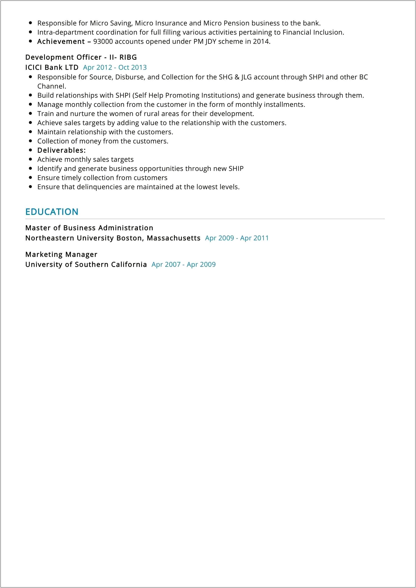Example Of Professional Business Resume To Obtain Loan