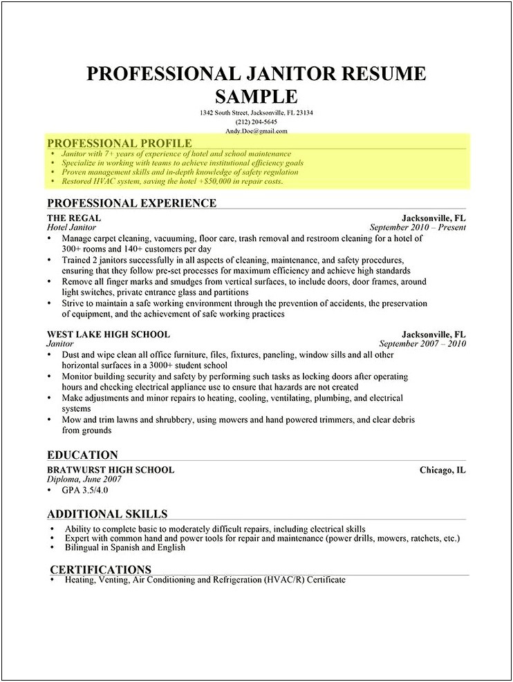 Example Of Professional Profile In Resume
