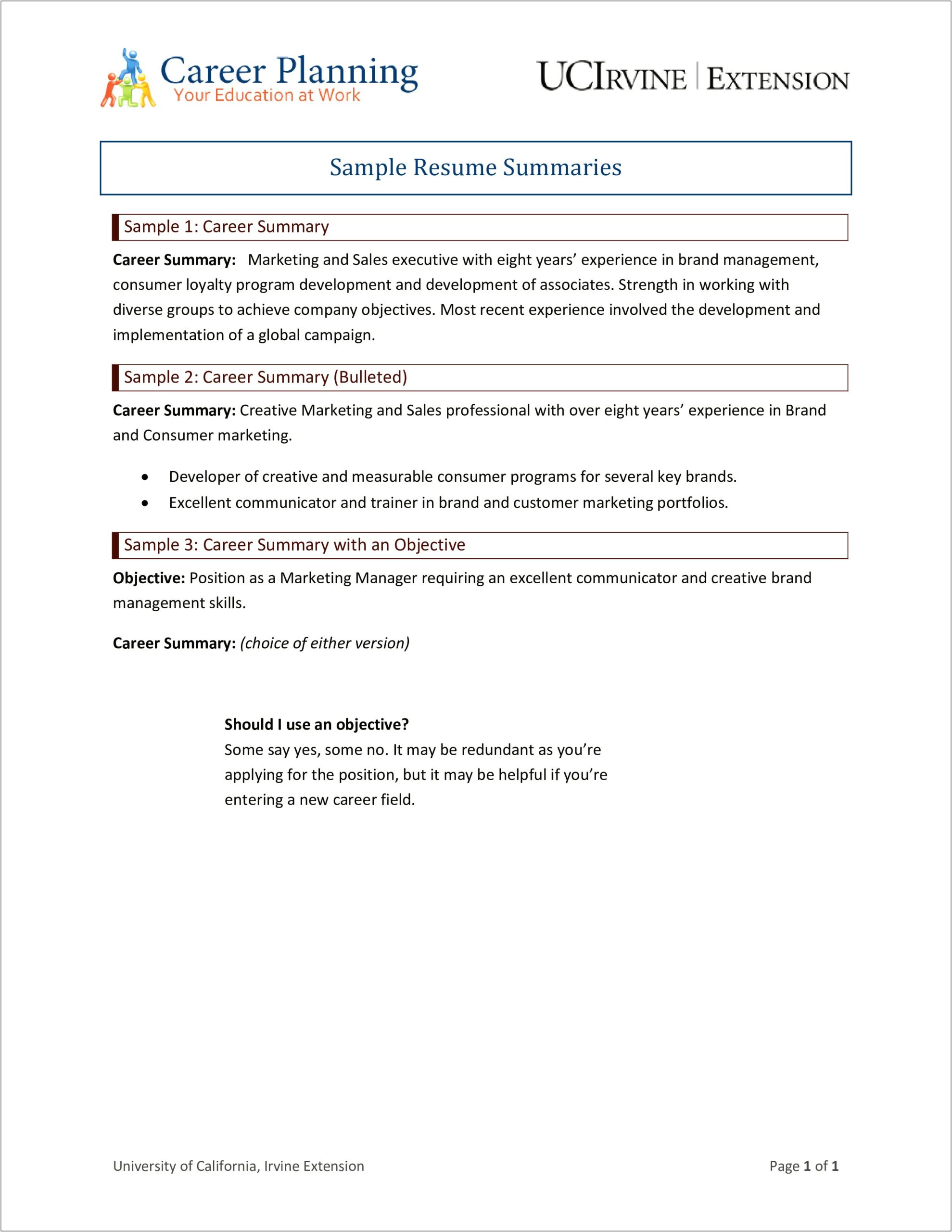 Example Of Resume Summary For Sales