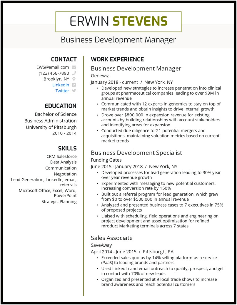 Example Resume Director Of Business Development