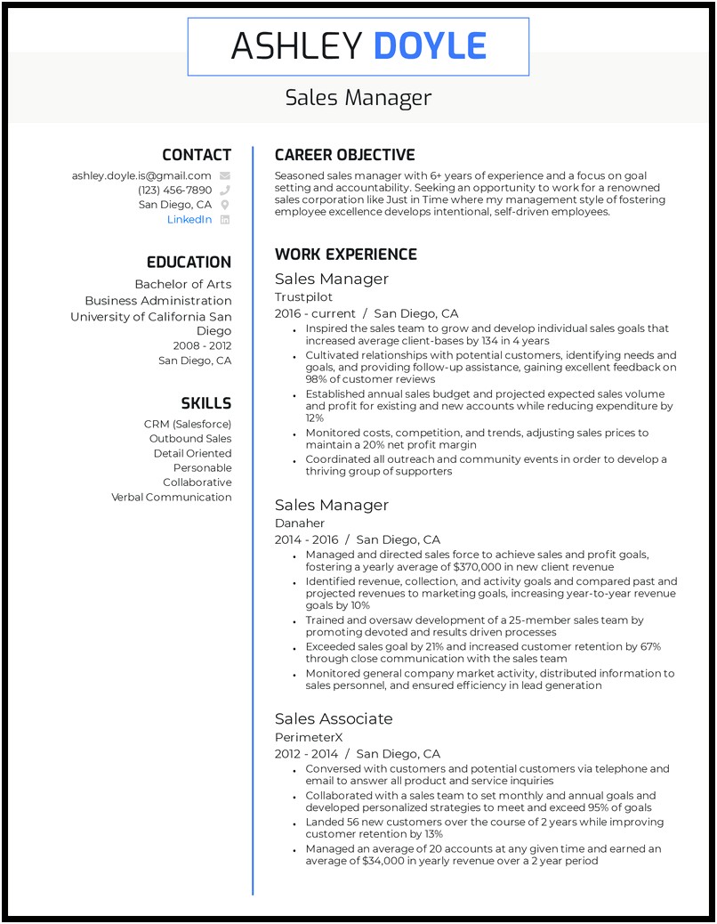 Example Resume Statements For Sales Manager