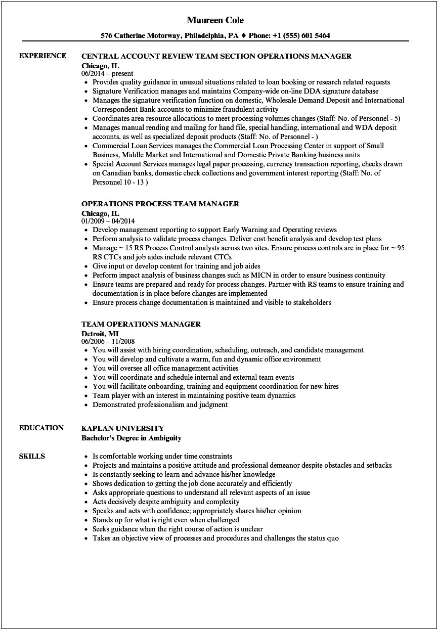 Example Resume Team Member To Manager