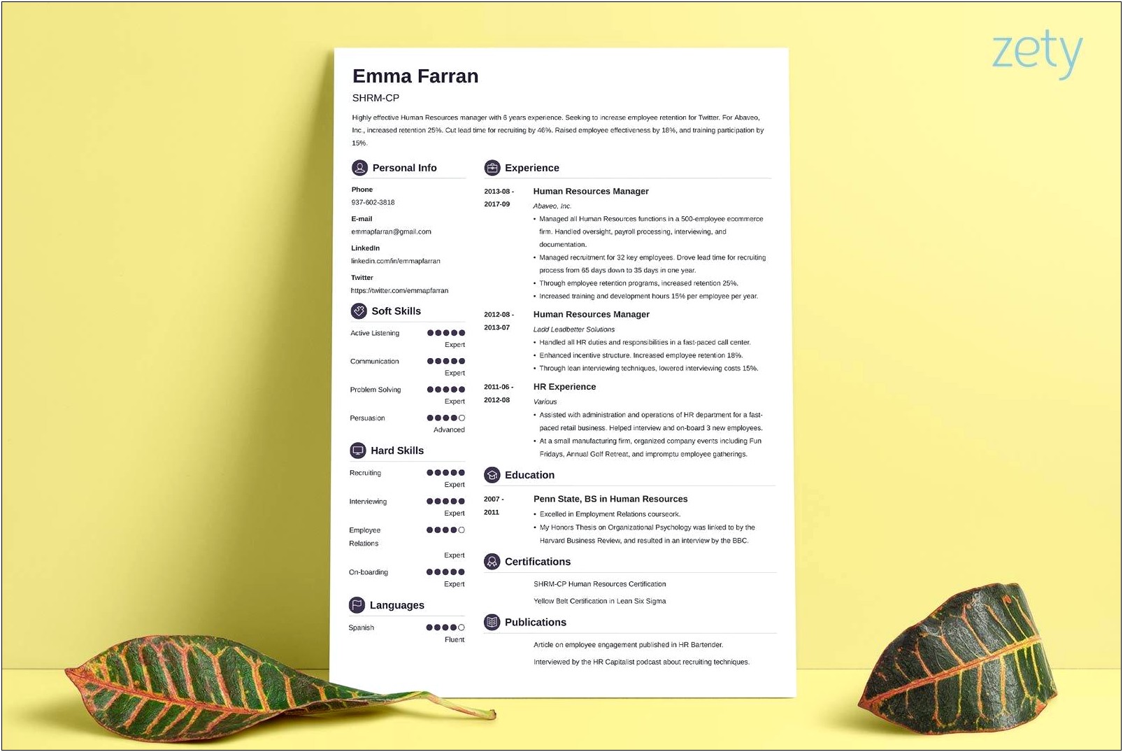 Examples Of Creative Resumes Human Resources