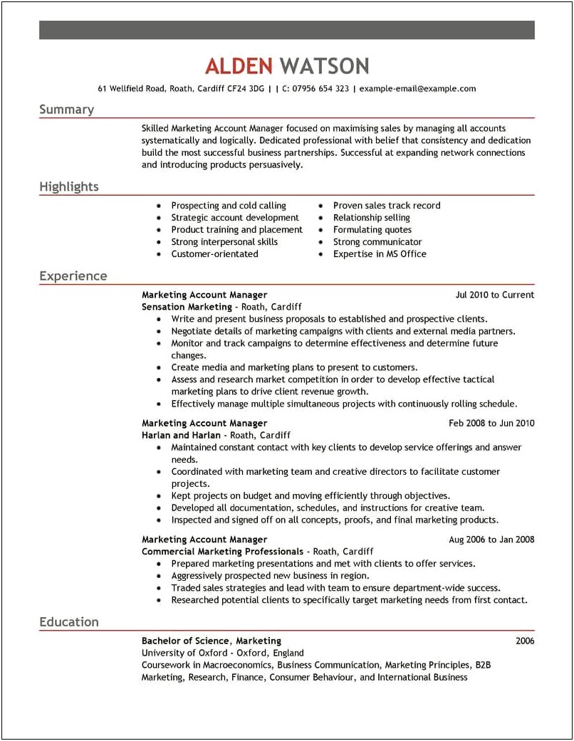 Examples Of Excellent Resumes For Sales Account Managers