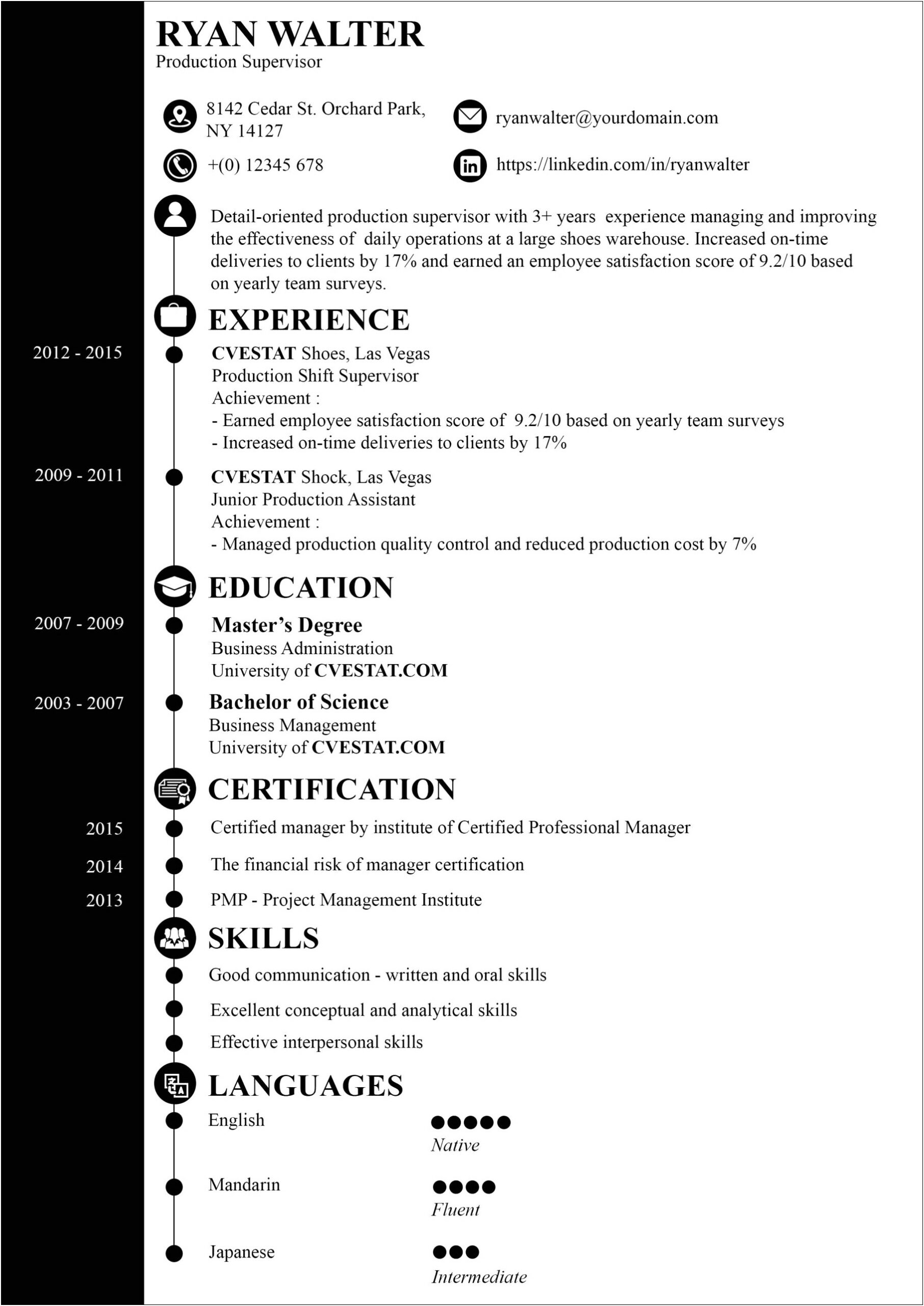 Examples Of Good Executive Summaries For Resumes